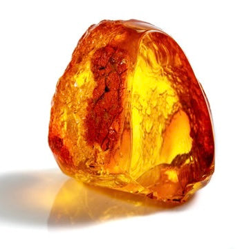 Oriental Amber