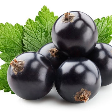 Blackcurrant