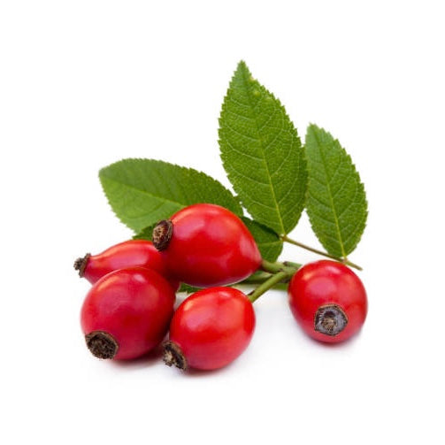 Rosehip Oil